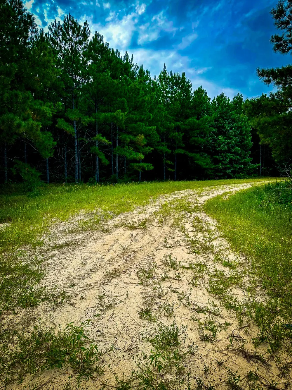 Segno Fire Lane Livingston, TX 77371