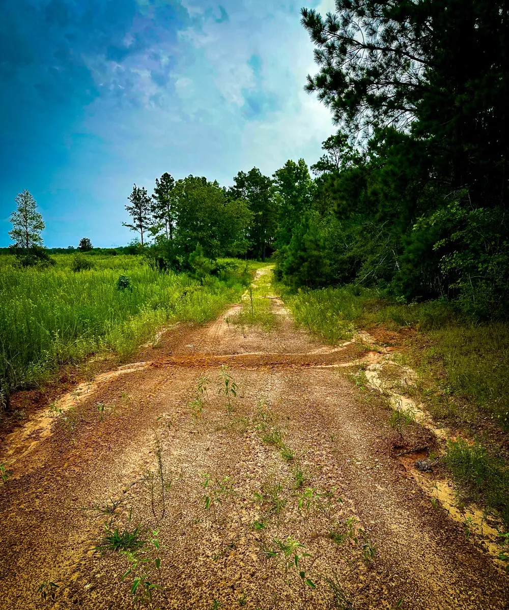 Segno Fire Lane Livingston, TX 77371