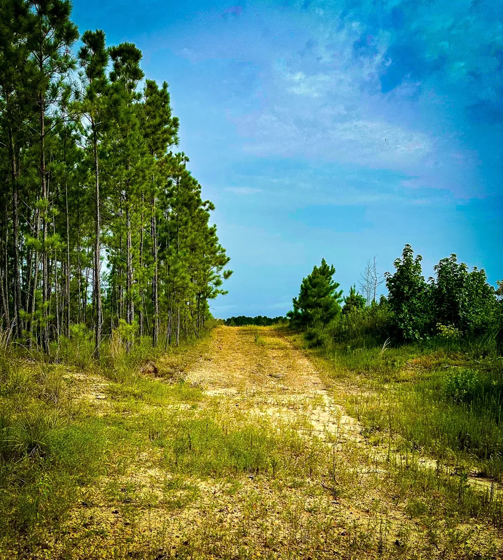 Segno Fire Lane Livingston, TX 77371