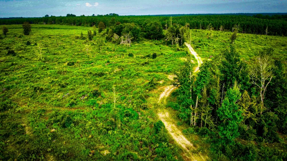Segno Fire Lane Livingston, TX 77371