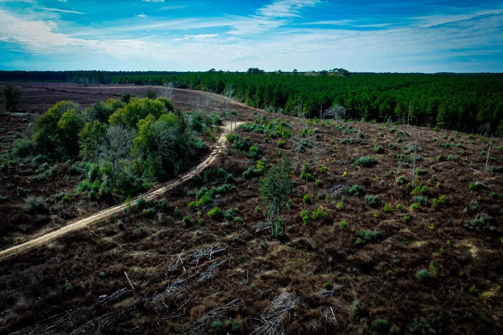 Segno Fire Lane Livingston, TX 77371