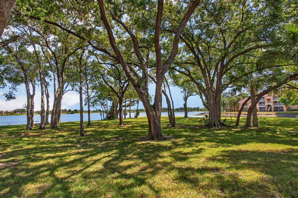 2425 NW 33rd Street NW #1309 Oakland Park, FL 33309