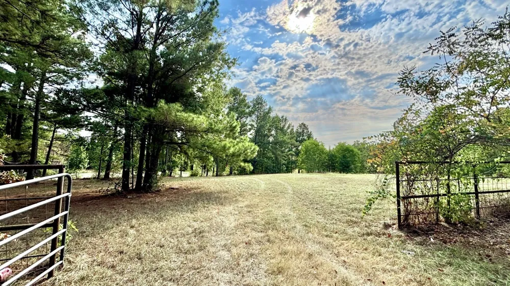 1507 154 Highway Quitman, TX 75783