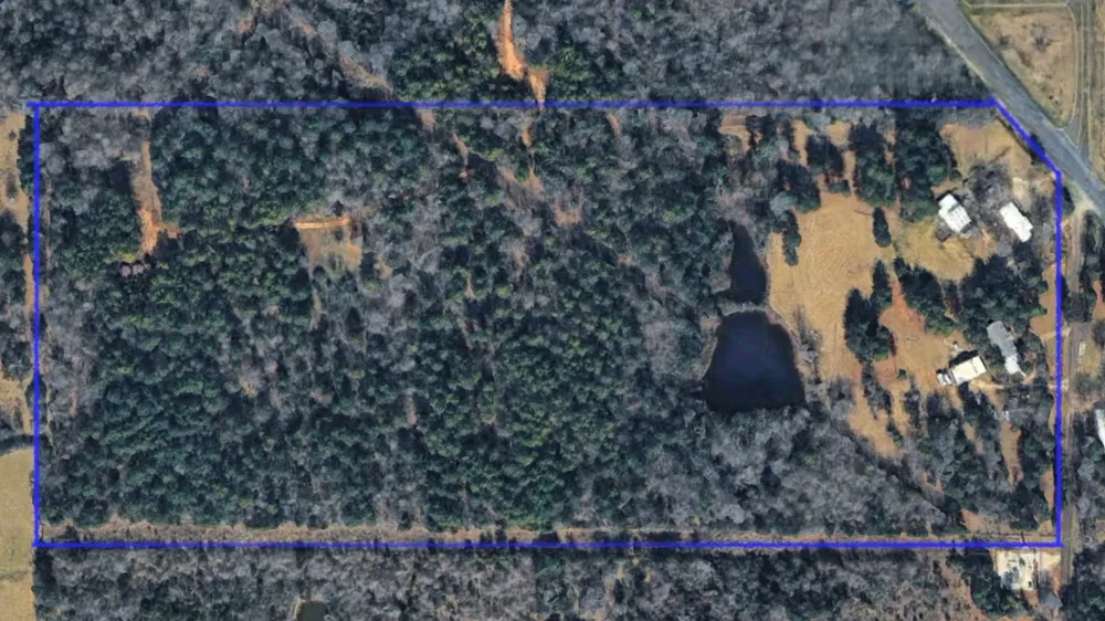 1507 154 Highway Quitman, TX 75783