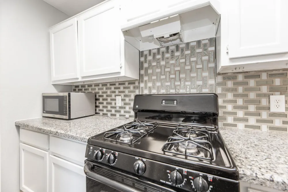 6638 Cove Lake Drive Katy, TX 77449