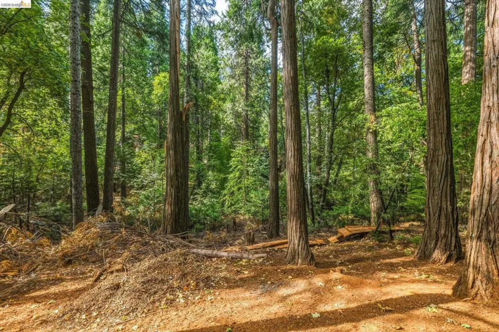 16947 E Brookside Dr. Sonora, CA 95370