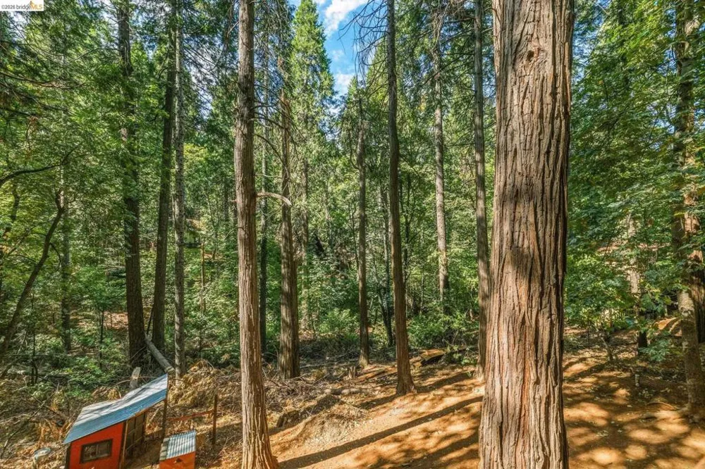 16947 E Brookside Dr. Sonora, CA 95370