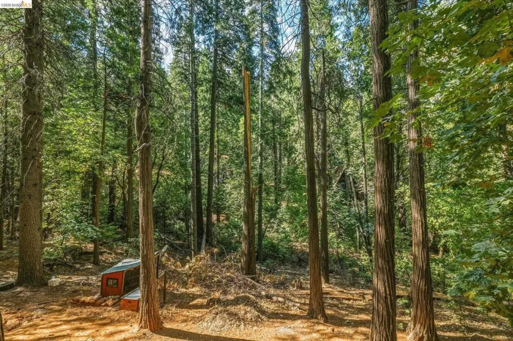 16947 E Brookside Dr. Sonora, CA 95370