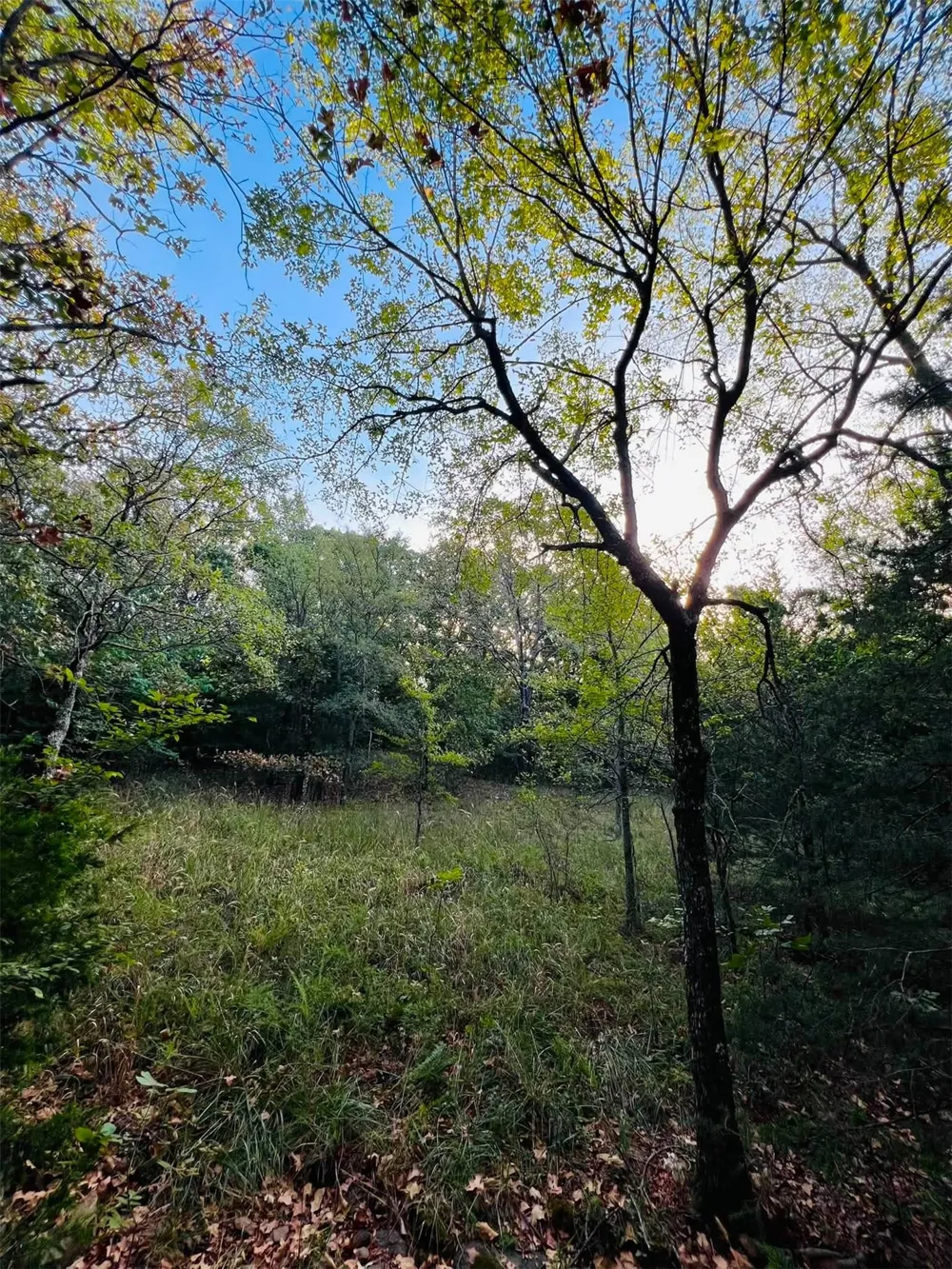 960 ROAD E Vian, OK 74962