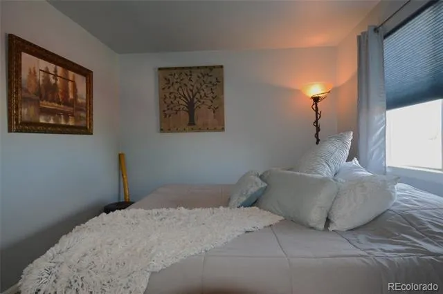 993 Parsons Avenue Castle Rock, CO 80104