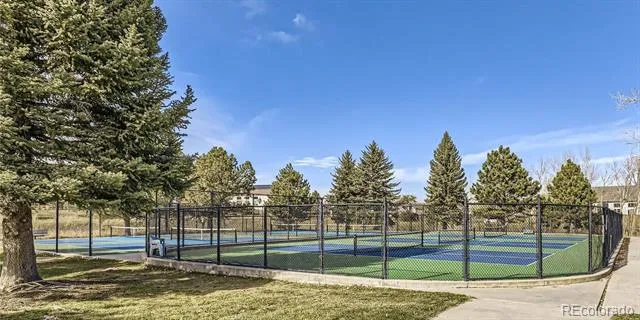 993 Parsons Avenue Castle Rock, CO 80104