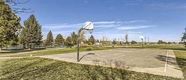 993 Parsons Avenue Castle Rock, CO 80104