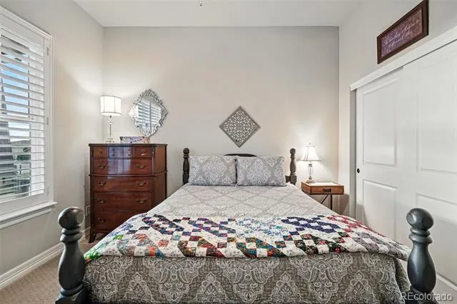 5506 Water Avens Drive Castle Rock, CO 80104
