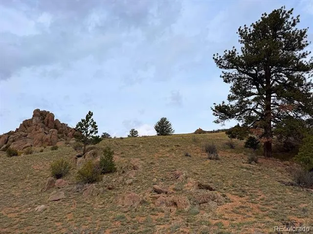 Cahokia Road Hartsel, CO 80449