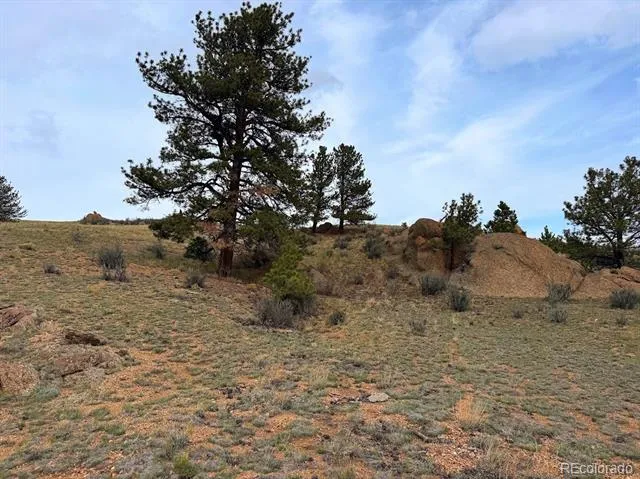Cahokia Road Hartsel, CO 80449