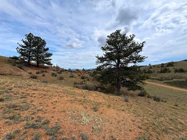 Cahokia Road Hartsel, CO 80449