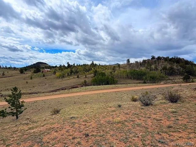 Cahokia Road Hartsel, CO 80449