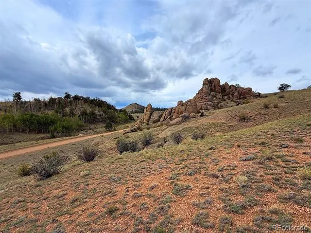 Cahokia Road Hartsel, CO 80449