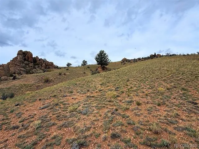 Cahokia Road Hartsel, CO 80449