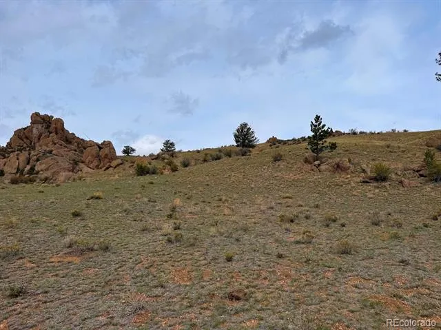 Cahokia Road Hartsel, CO 80449