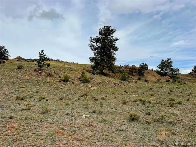 Cahokia Road Hartsel, CO 80449