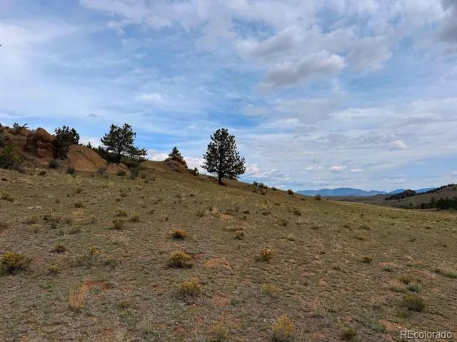 Cahokia Road Hartsel, CO 80449