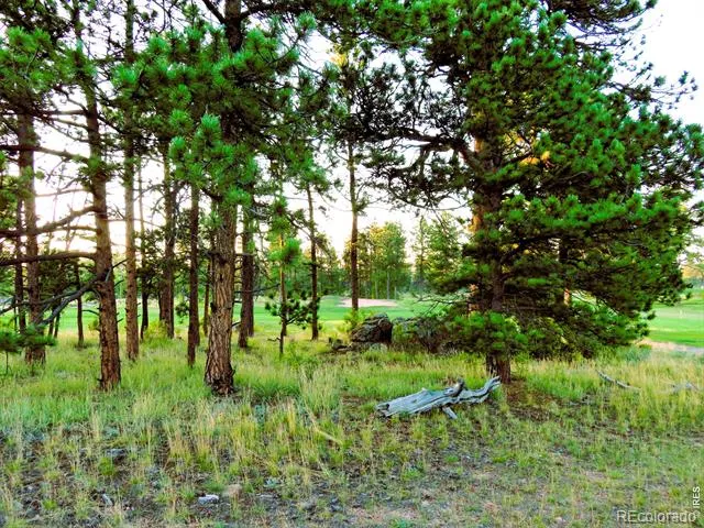 2 Fox Meadow Lane Red Feather Lakes, CO 80545
