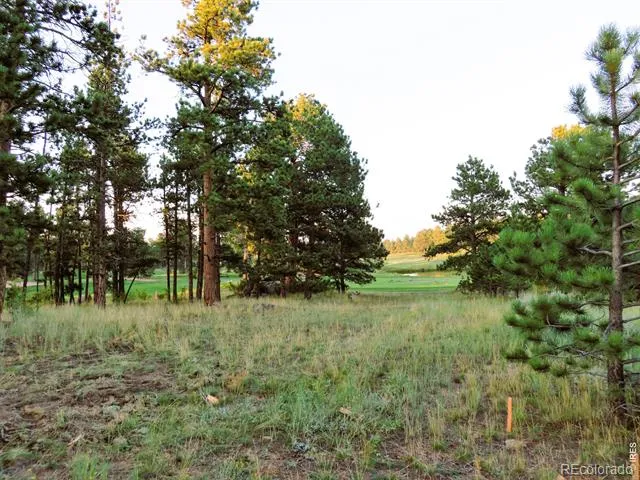 2 Fox Meadow Lane Red Feather Lakes, CO 80545