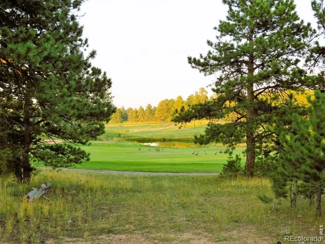 2 Fox Meadow Lane Red Feather Lakes, CO 80545