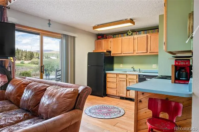 371 County Road 4421 #A1 Grand Lake, CO 80447