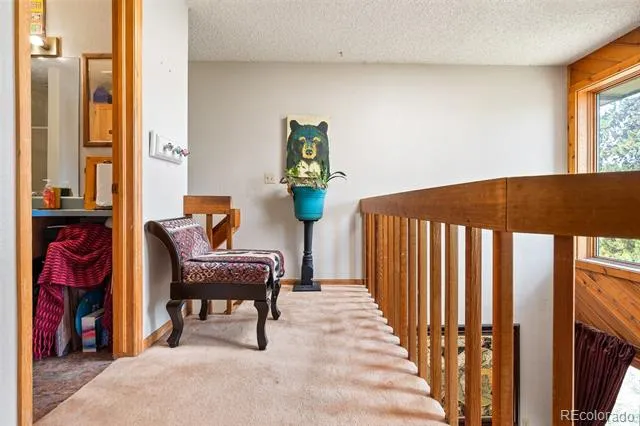 371 County Road 4421 #A1 Grand Lake, CO 80447