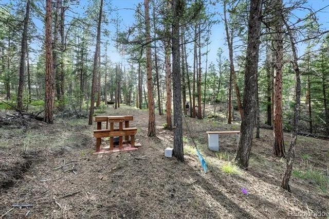 1721 Wildhorn Road Florissant, CO 80816