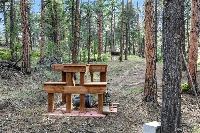 1721 Wildhorn Road Florissant, CO 80816