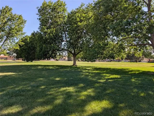 9334 Bellaire Street Thornton, CO 80229