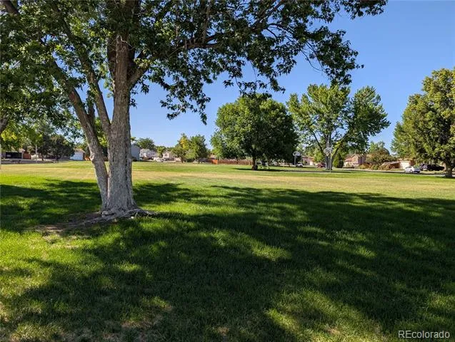 9334 Bellaire Street Thornton, CO 80229
