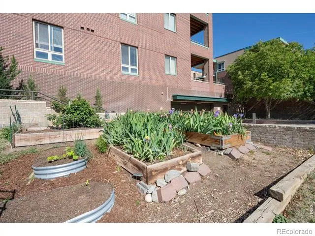 1053 W Century Drive #101 Louisville, CO 80027