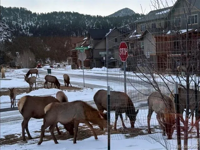 1728 Continental Peaks Circle Estes Park, CO 80517