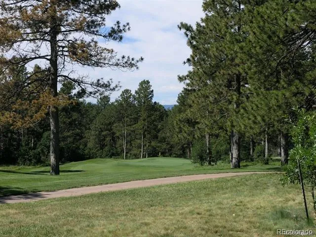 956 Country Club Parkway Castle Rock, CO 80108