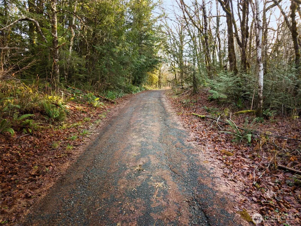 370 SE Whitecap Alley Shelton, WA 98584