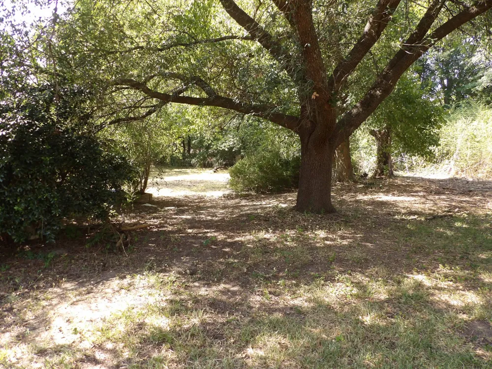 402 Keith Street Mount Vernon, TX 75457