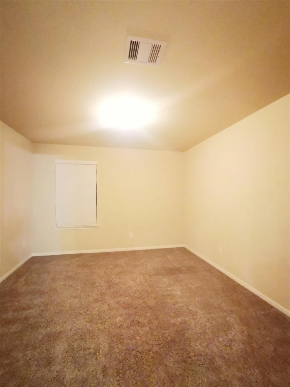 29202 Vernon Forest Court Katy, TX 77494