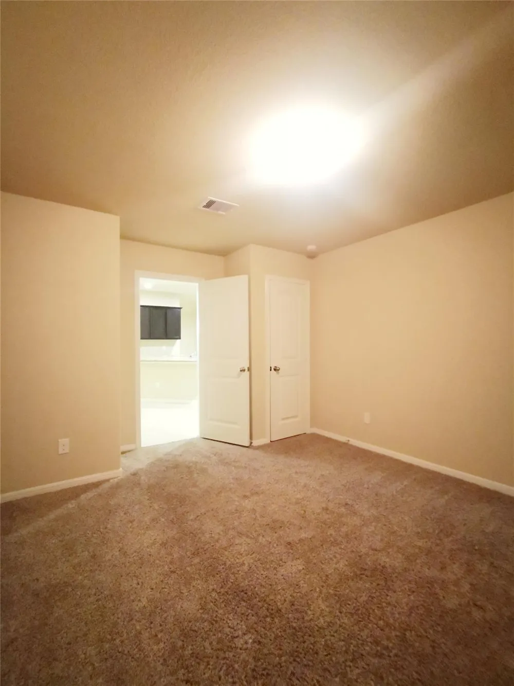 29202 Vernon Forest Court Katy, TX 77494