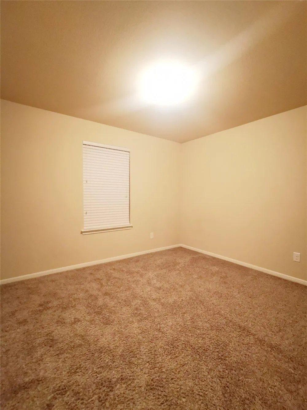 29202 Vernon Forest Court Katy, TX 77494