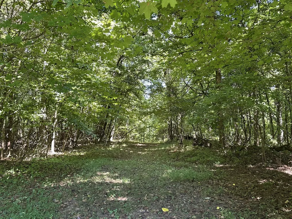 2360 Glennridge Rd Columbia, TN 38401