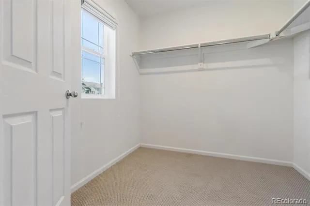 399 Courtfield Way Castle Rock, CO 80108