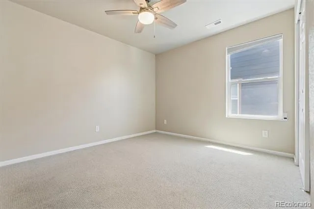 399 Courtfield Way Castle Rock, CO 80108