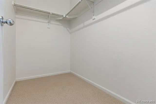 399 Courtfield Way Castle Rock, CO 80108