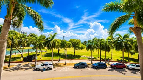 1900 Bayshore Dr #504