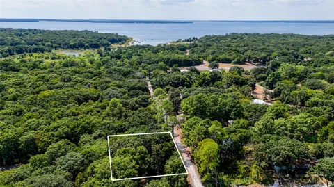 Cedar Drive
