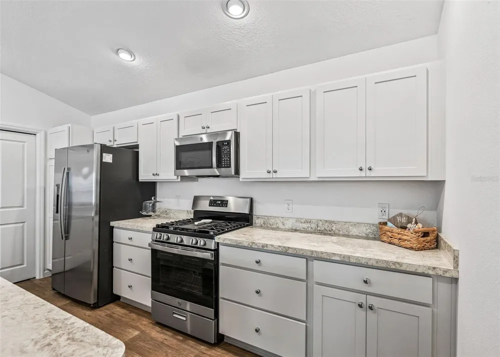 3250 SHERFINSKI AVENUE The Villages, FL 32163